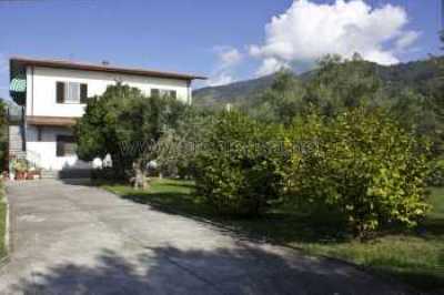 Dettagli